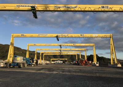 MONORAIL CRANES
